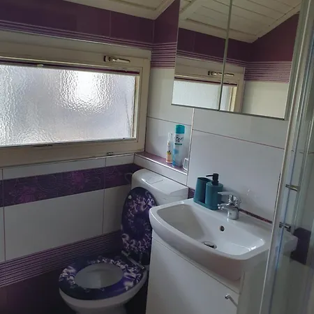 Lavender In Terme Catez Feriehus Catez ob Savi