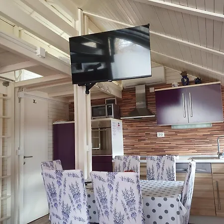 Lavender In Terme Catez *