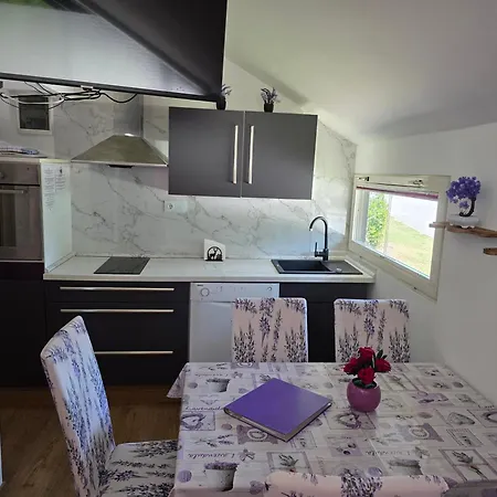 Lavender In Terme Catez Casa vacanze Catez ob Savi